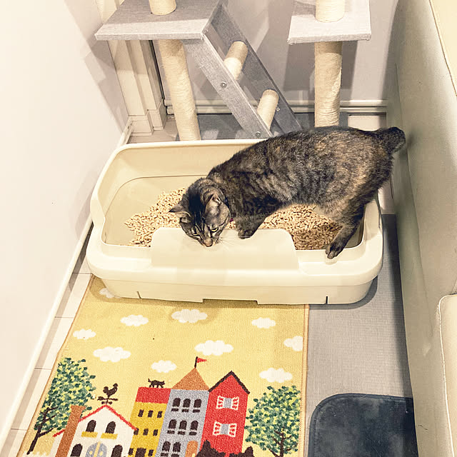 m.coccoさんの部屋