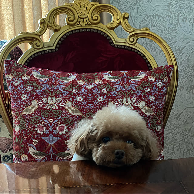 TIARAさんの実例写真