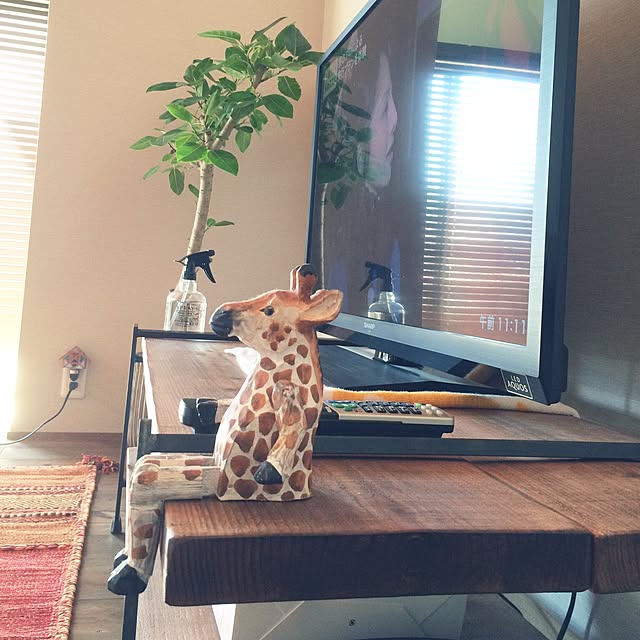 Daikiさんの実例写真