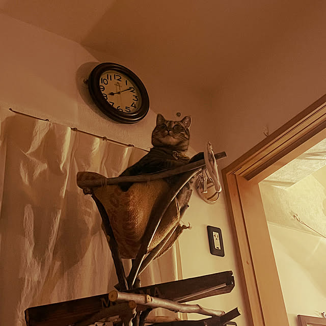 Mさんの部屋
