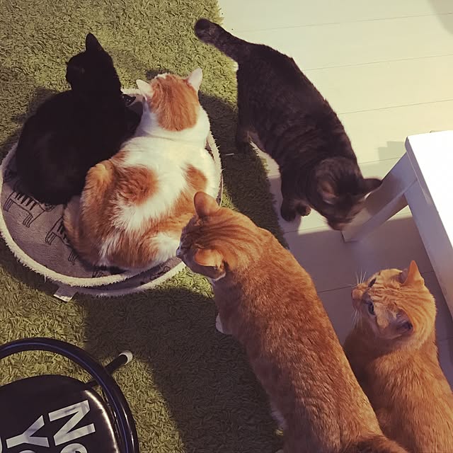 369mamaさんの実例写真