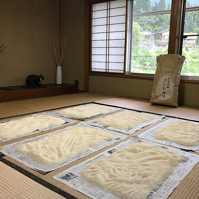 aoinokimiさんの実例写真