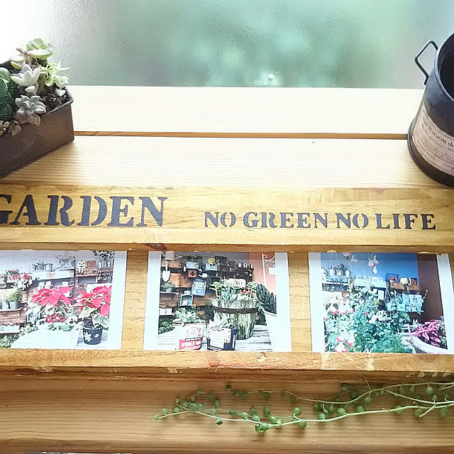 naopyiさんの実例写真