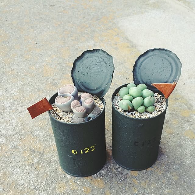 Fellowさんの実例写真