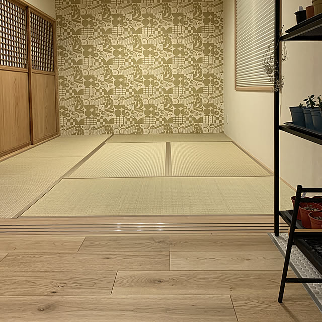 Shiguさんの実例写真