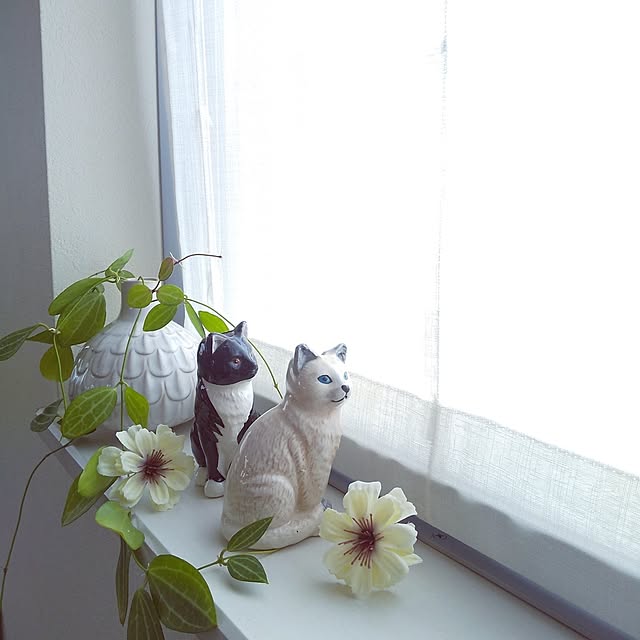 Haさんの実例写真