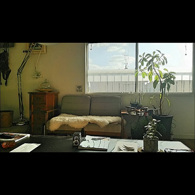 kaorinさんの実例写真