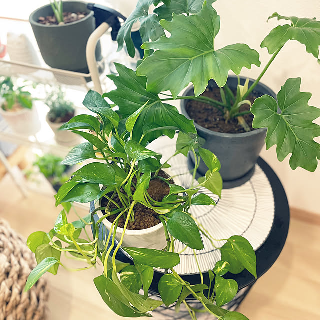 hirokoさんの部屋