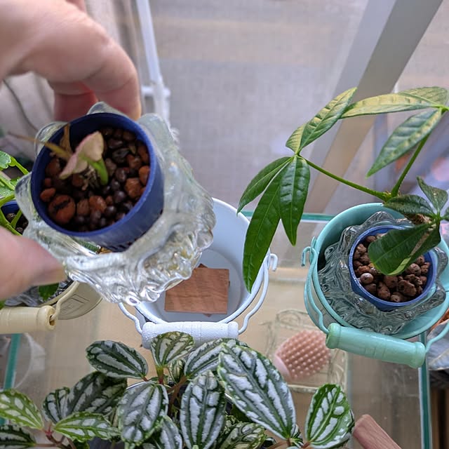 mi-saさんの部屋