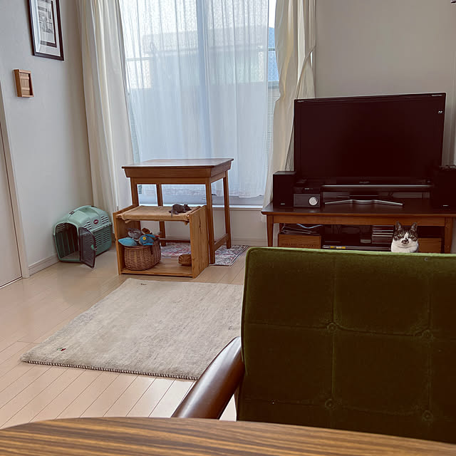 かりもく60/猫のおもちゃ置き場/ギャッベ/古家具/シンプルが好き...などのインテリア実例 - 2022-02-12 17:31:28