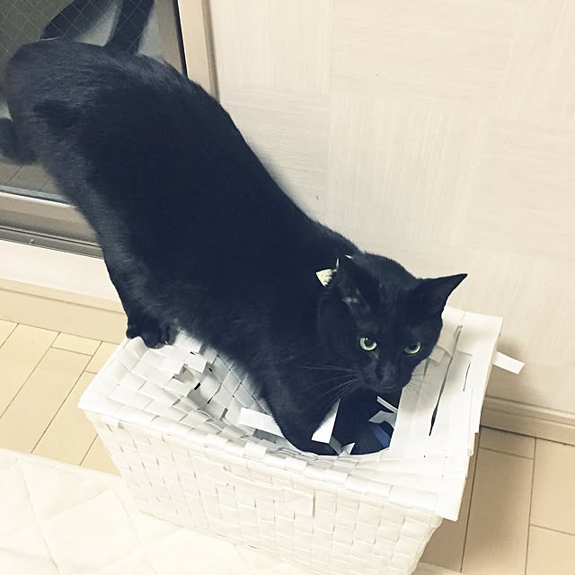 fuminさんの実例写真