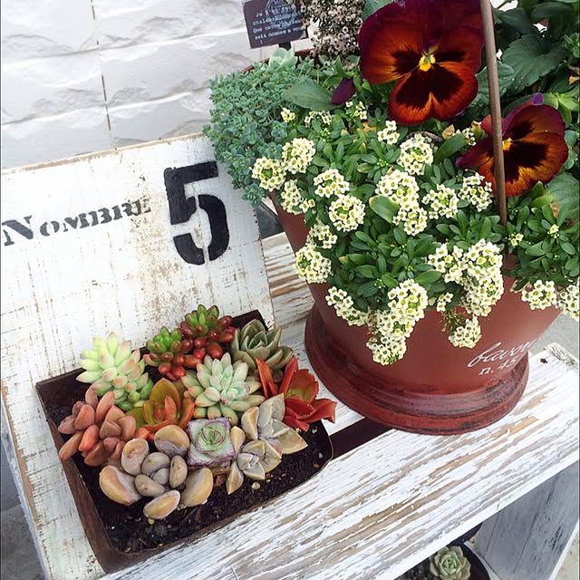 kanonさんの実例写真