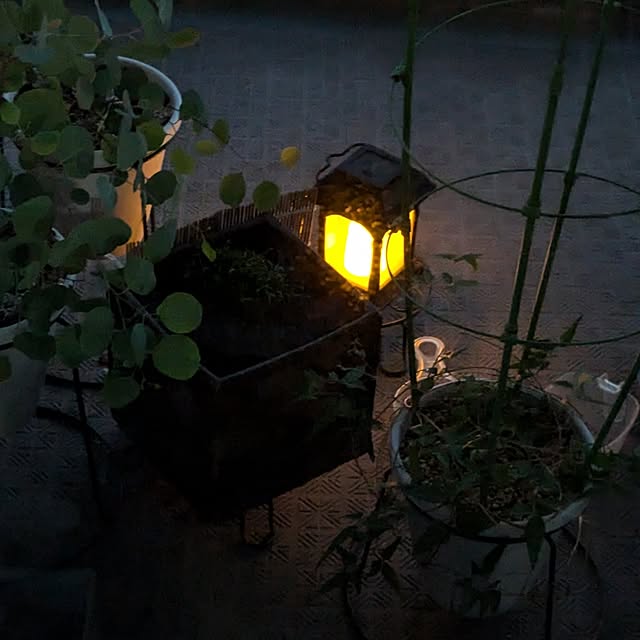mi-saさんの部屋