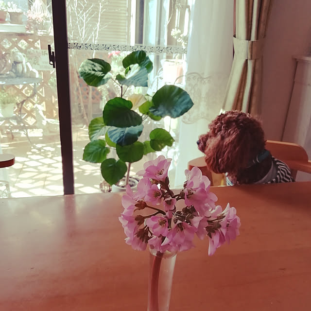 satochiさんの実例写真