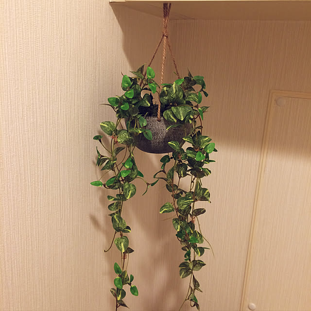 popoaさんの実例写真