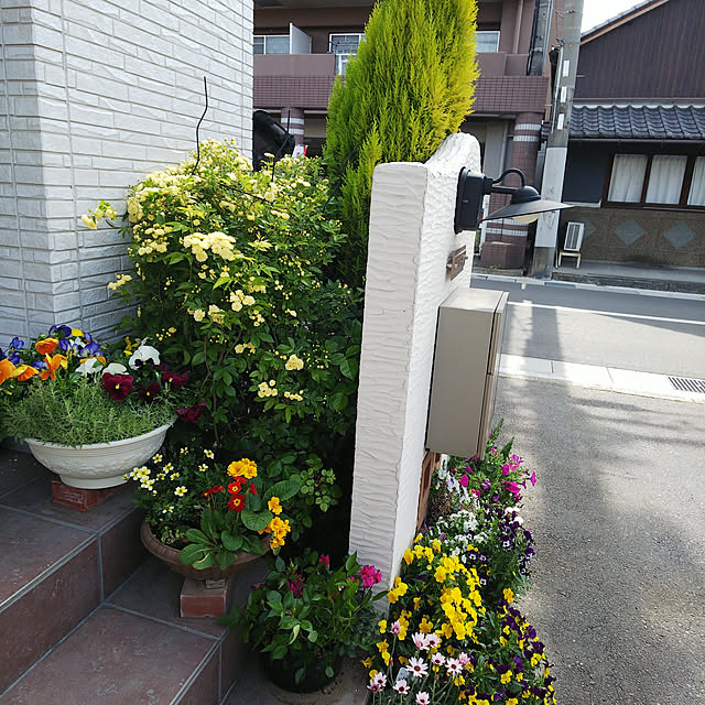 実例写真