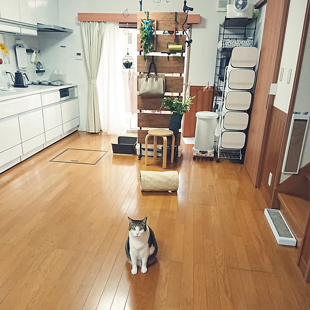 nachiさんの実例写真