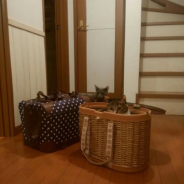 tomo1220さんの実例写真