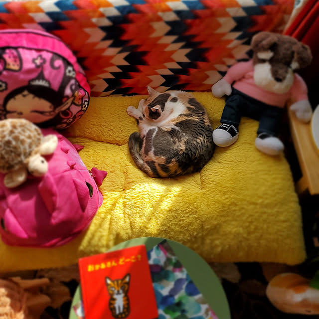 kumutanさんの実例写真