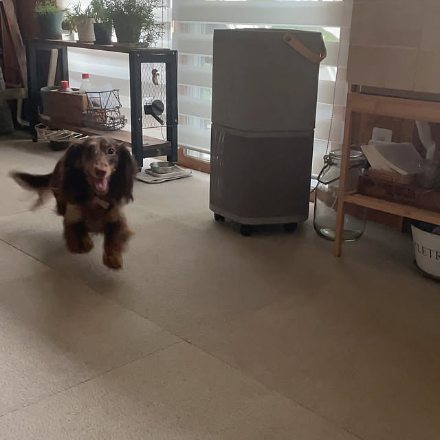 yupponさんの部屋