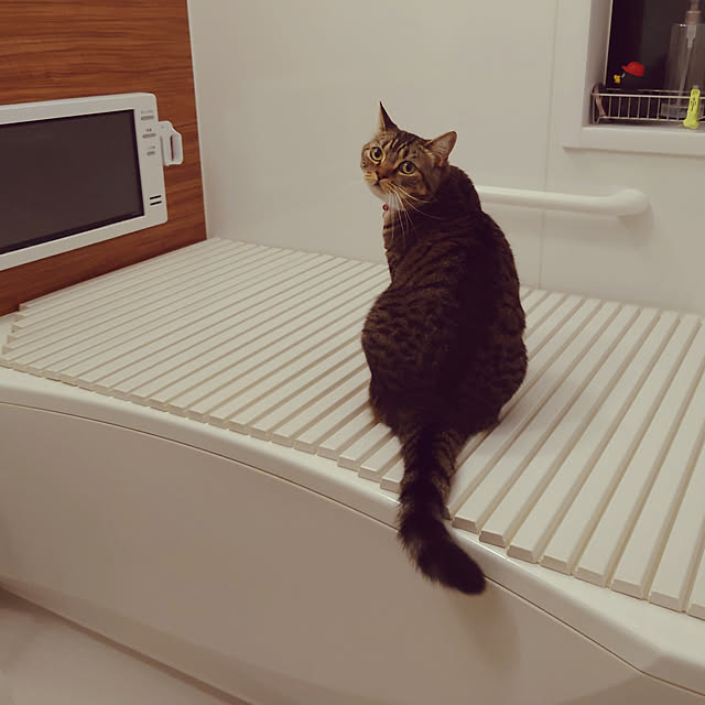 mochicoさんの実例写真