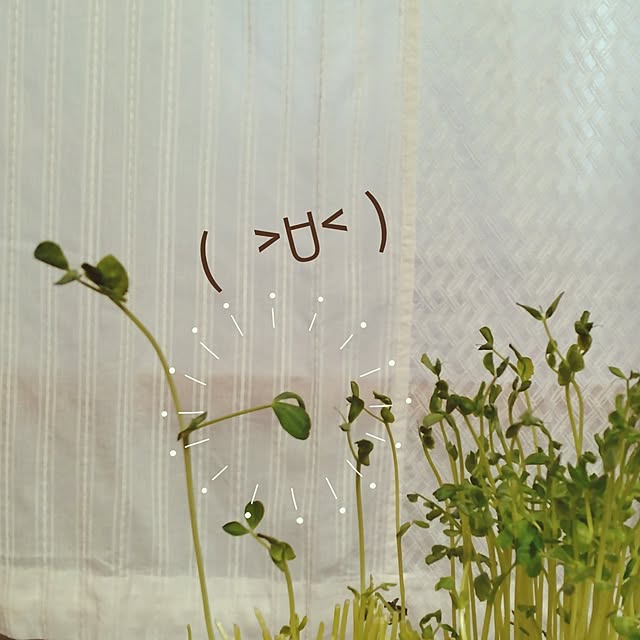 chinon7211さんの部屋