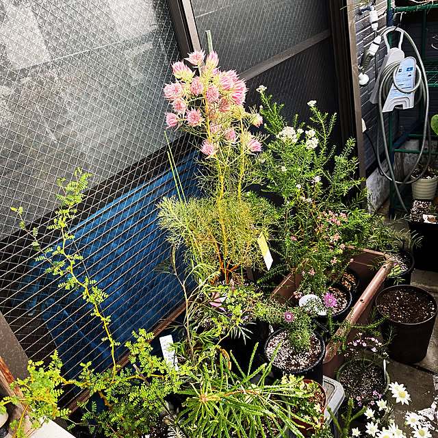 BLENDAGARAGEさんの実例写真