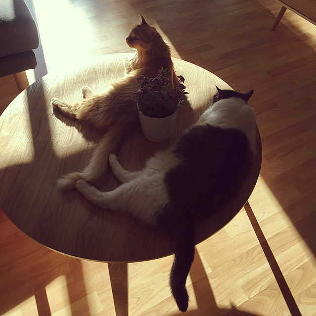 Keiさんの実例写真