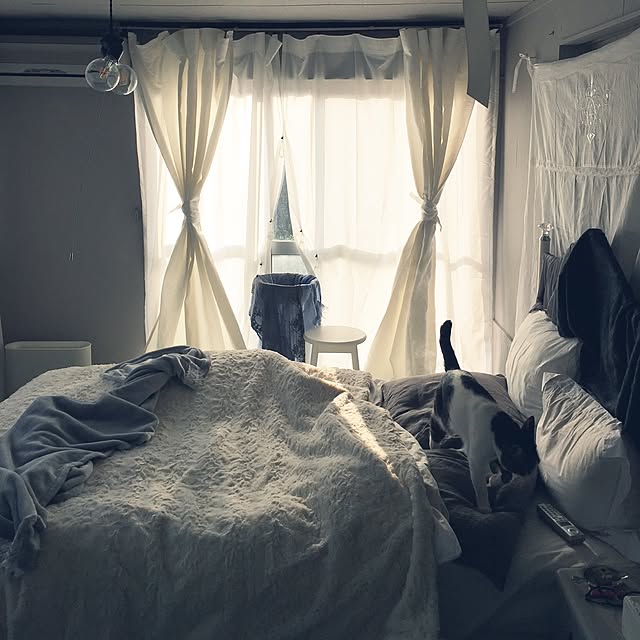 Shihoさんの実例写真