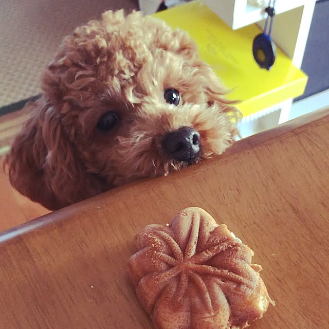 malulusanaさんの実例写真