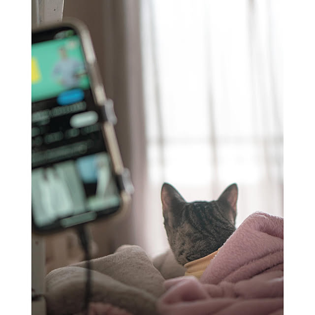 oliveさんの実例写真