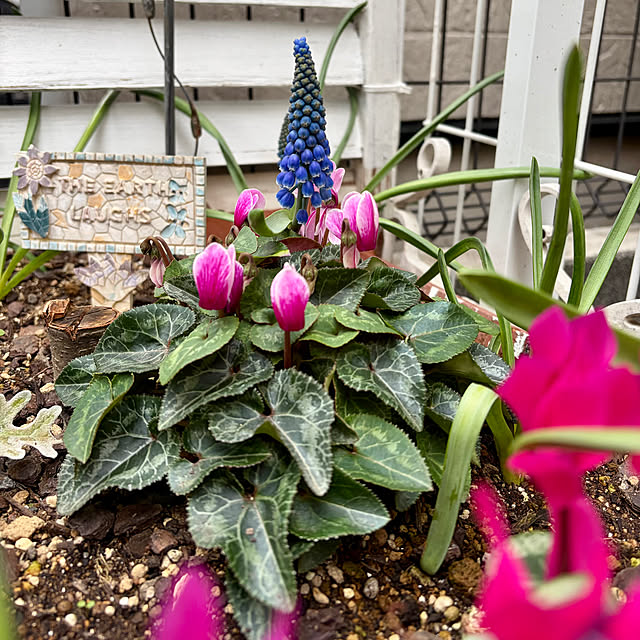 puriyuzuさんの部屋