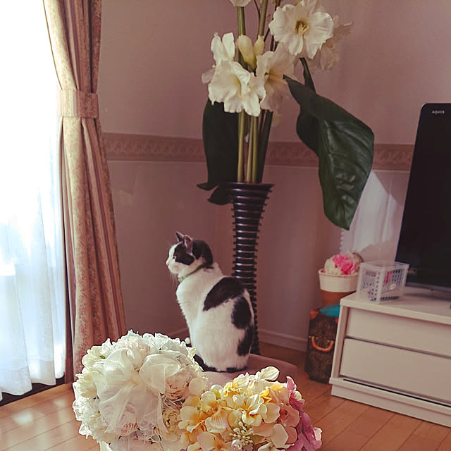 karenさんの実例写真