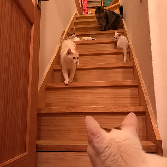 sakurasakuさんの実例写真