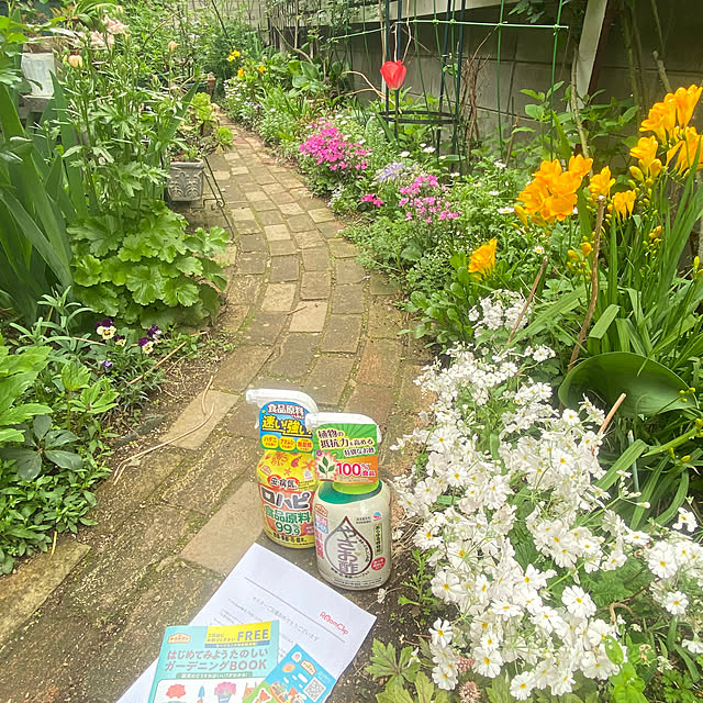 na-chanさんの部屋