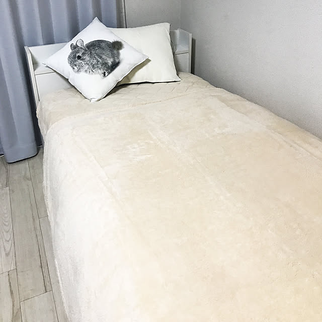 iga_bs_910さんの実例写真
