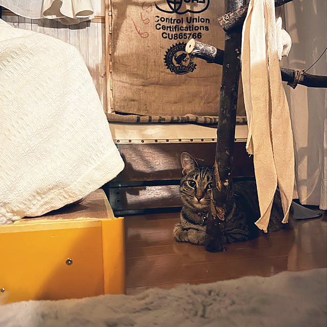 Mさんの実例写真
