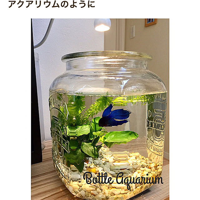 cherryさんの実例写真