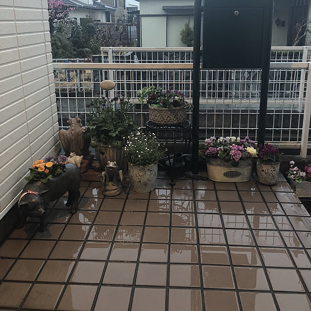 実例写真
