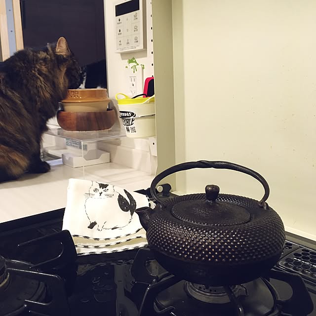 mikomaruさんの実例写真