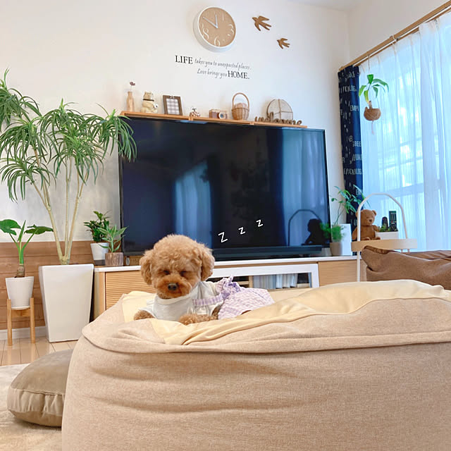 e.and.m.mamaさんの実例写真
