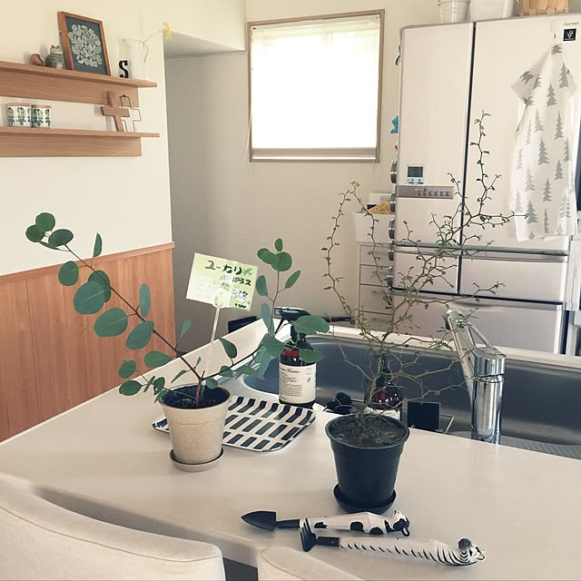 sorasoraさんの実例写真