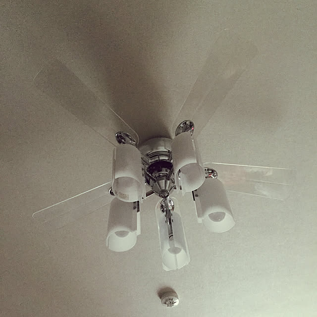 Honeyhoneyさんの実例写真