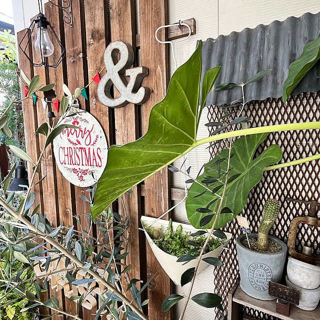 okkunさんの部屋