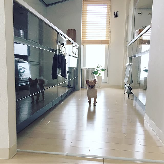 haruhinaさんの実例写真