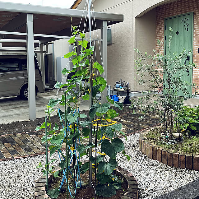 chiiyanさんのお部屋の写真