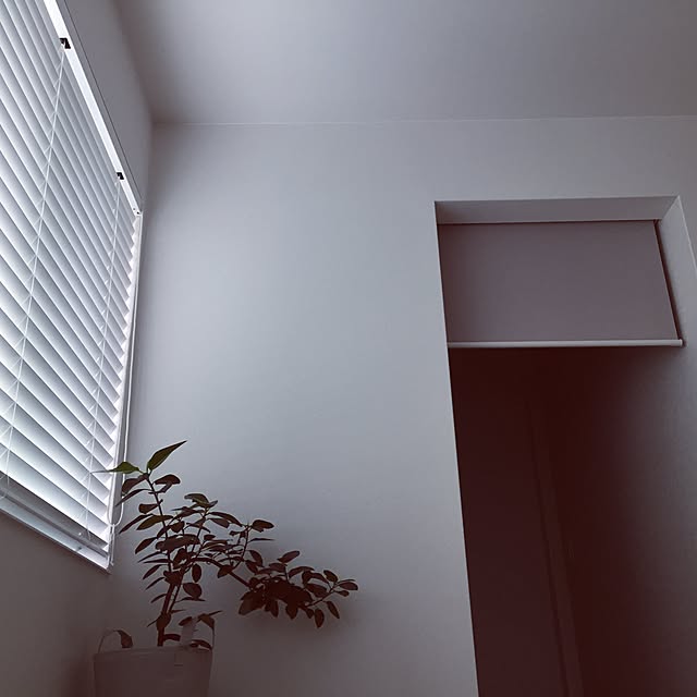 home13.emiさんの実例写真