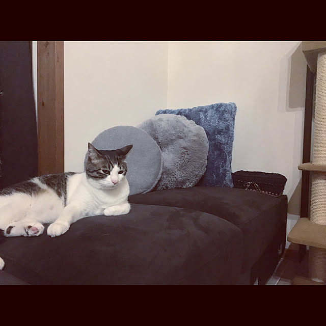 marusanさんの実例写真