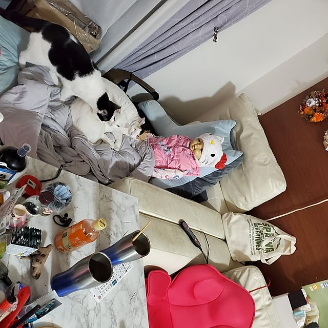 HOTARU.catさんの部屋