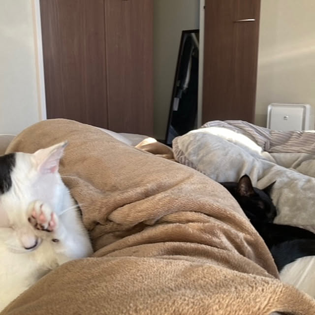 ma.さんの実例写真